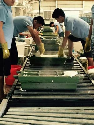 190m Length Latex Pillow Production Line 50kw High Capacity Easy Installation